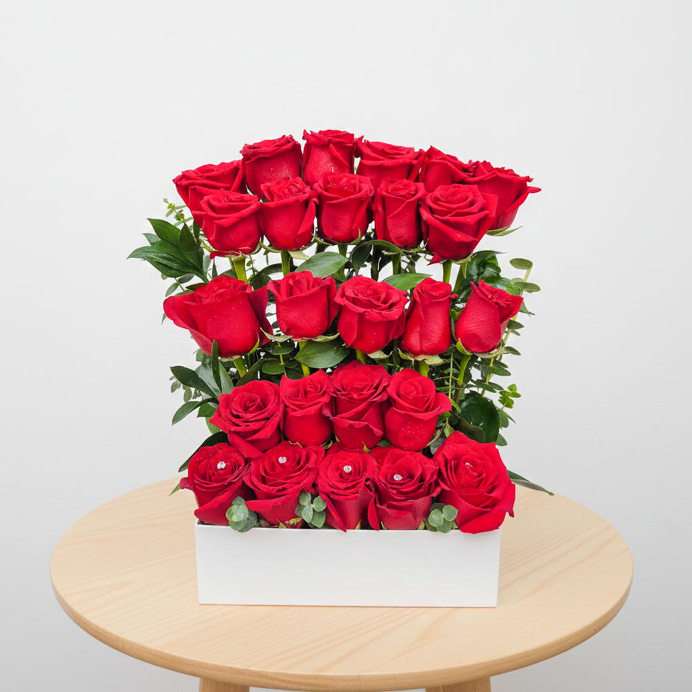 Rosas vermelhas radiante